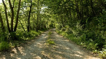 abbazia-di-spineto-natura-02