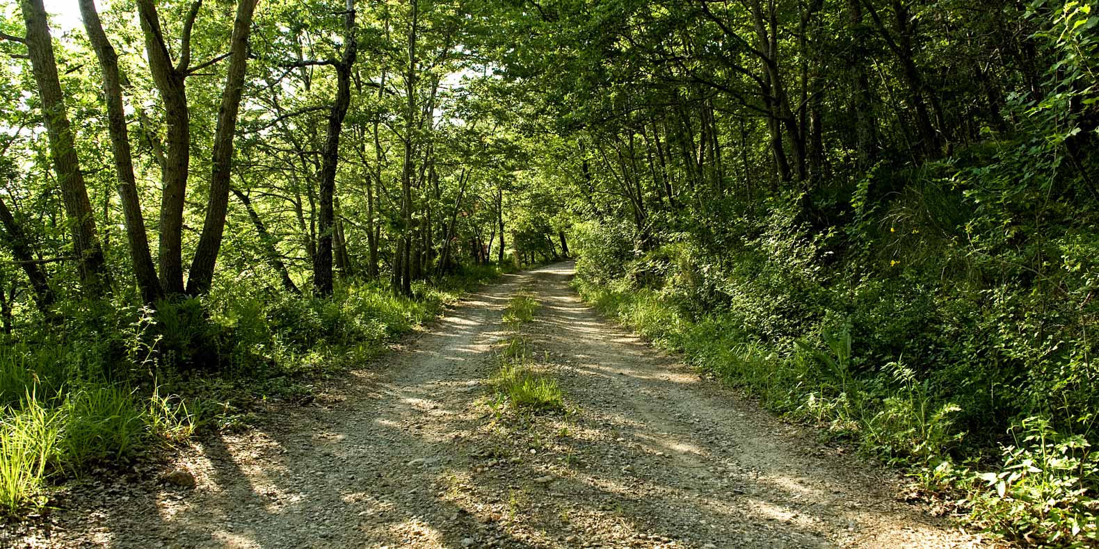 abbazia-di-spineto-natura-03